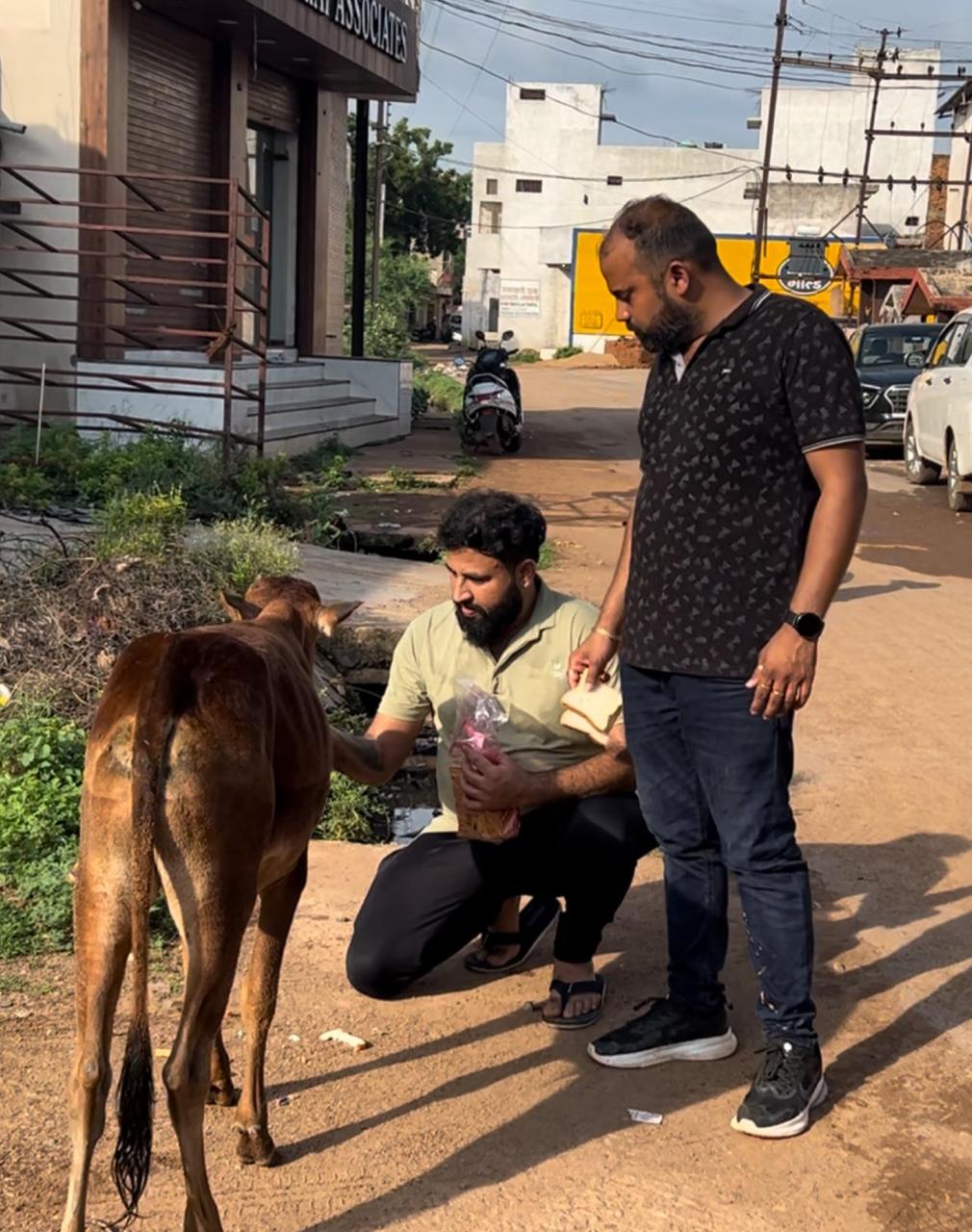 नगरपालिका उपाध्यक्ष विकास सुखवानी ने   गौ वंश की बचाई जान