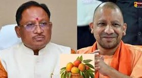योगी आदित्यनाथ ने मुख्यमंत्री विष्णुदेव साय को उपहार में भेजा आमों का टोकरा
