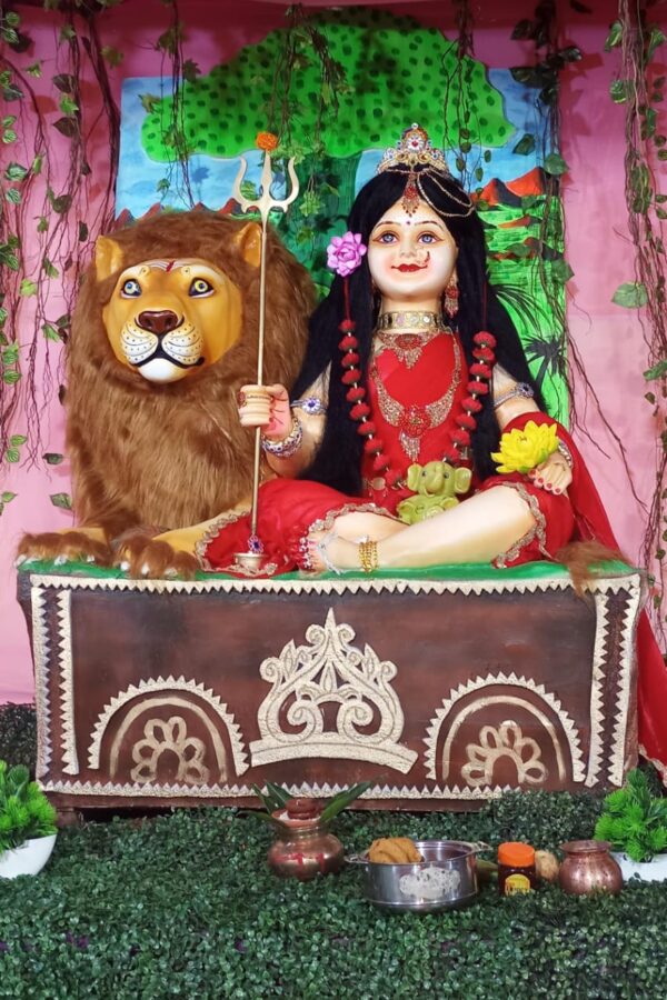 बालिका स्वरूप में विराजी माता रानी, तिल्दा नेवरा में नवरात्रि का अनोखा उत्सव