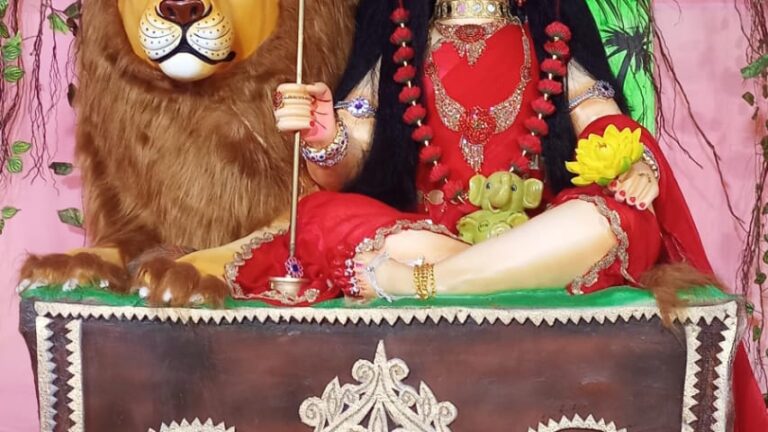 बालिका स्वरूप में विराजी माता रानी, तिल्दा नेवरा में नवरात्रि का अनोखा उत्सव