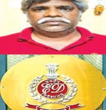 रेड सैंडर्स तस्करी रैकेट का बड़ा खुलासा, ईडी ने अटैच की 8.60 करोड़ की संपत्ति