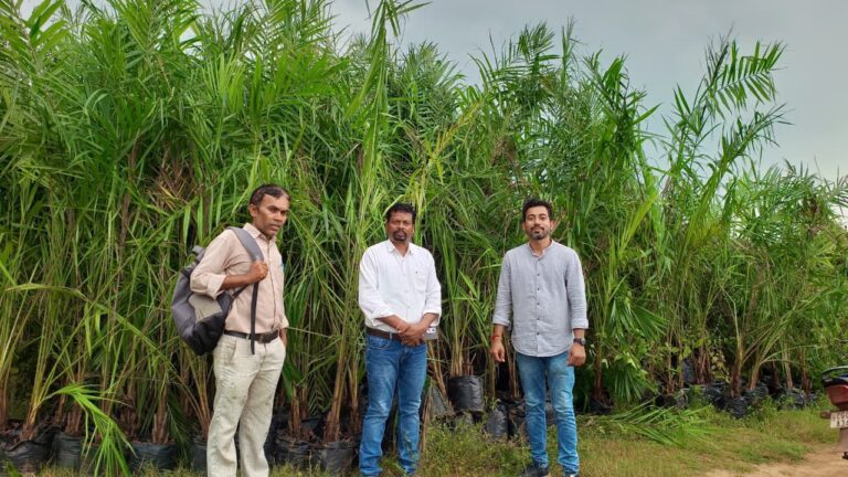 धमतरी में शुरू हुआ ऑयल पाम पौधारोपण अभियान