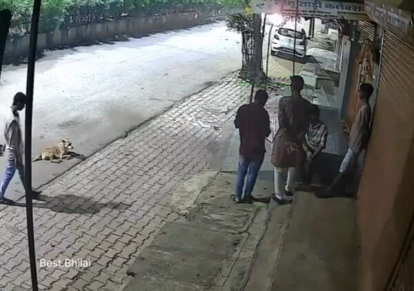 भिलाई में क्रूरता की हद: कार चालक ने कुत्ते को कुचल डाला, वीडियो वायरल