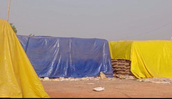 भोथली के किसानों को टोकन कटाने में हो रही दिक्कत ,धान खरीदी लिमिट बढाने की मांग