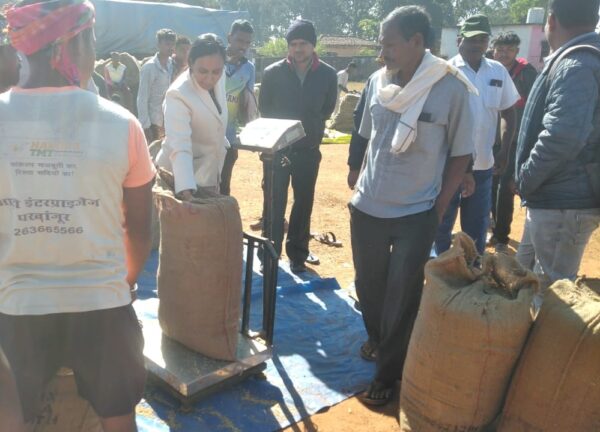 धान उपार्जन केंद्रों की एसडीएम प्रीति दुर्गगम   ने की सघन जांच, दिए कड़े निर्देश