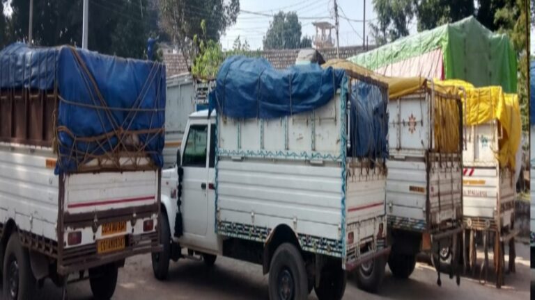 झारखंड के चार पिकअप अवैध धान  छत्तीसगढ़ में पकड़ाया, राइस मिलरों से हुई थीं डील