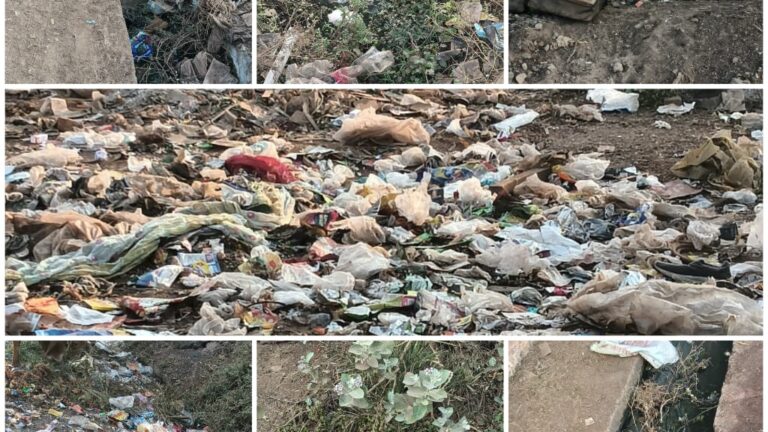 नगर पालिका परिषद की घोर लापरवाही से 22 के 22 वार्ड में पसरा गंदगी