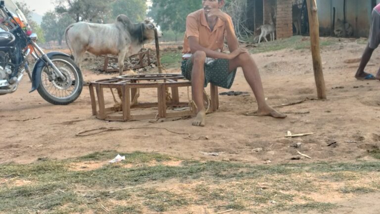 रायडीह में बैल चोरी का पर्दाफाश, ग्रामीणों ने चोर को रंगे हाथ पकड़ा